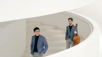 What's on: Market, music and workshops in Gisborne