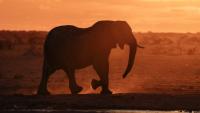 Africa looms larger in US-China critical minerals race