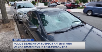 Cars vandalized in Sheepshead Bay; neighbor trying to intervene arrested