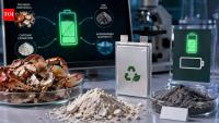 Scientists made a zinc battery from crab shells that lasted 1,000 cycles