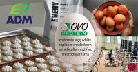 Iowa Pays ADM $2.23 Million to Manufacture Synthetic Egg Protein
