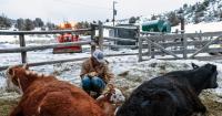 Exclusive – Colorado U.S. Rep. Gabe Evans: Democrat Opponent Is ‘Socialist Vegan’ Who ‘Called for a Vice Tax on Meat, Dairy, Eggs’