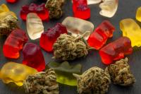 Cannabis Gummies Harm Driving Performance Hours After Use, Study Says