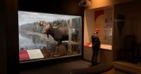 Provincial museums in Nova Scotia see jump in visitors, largely thanks to tourists