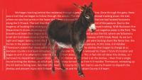 Georgia Cop Claimed Petting Zoo Donkey Was Charging at His Team When He Shot It