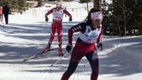 Enchanted Forest Cross Country Ski Area will not open this winter due to 'difficult snow years'