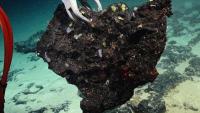 US to auction federal waters near American Samoa for deep-sea mining