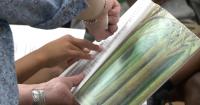 Wisconsin receives $10.5 million grant to support special education teachers