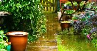 Gardeners urged to scatter one item on flowerbeds as rainy weather returns