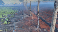 RADA urges farmers to protect against fires amid hot, dry conditions