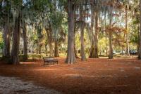 Ready, Not Worried: A Central Florida Homeowner’s September Checkup