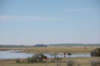 Alberta farmers can now destroy many wetlands