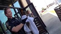 Texas Police Find Strange Animal Behind Pizza Shop. Then Realize She Belongs In The Rainforest.