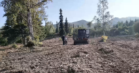 Anchorage firefighters restore fuel break to protect Stuckagain Heights homes