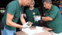 Kansas zoo shelters 83 ornate box turtles seized in global trafficking probe