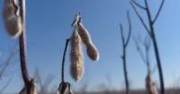 Soybean farmers applaud EPA change on refinery exemptions