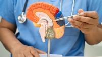 Health Canada issues licences to Fujirebio’s Lumipulse assays