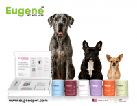 Eugene Pet Wellness Launches AI Platform Connecting Canine Genetic Data, Wellness Decisions and Ongoing Health Information