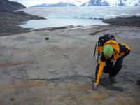 The retreat of the Tyndall Glacier uncovers an extraordinary ichthyosaur graveyard in Chilean Patagonia