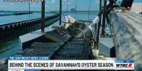 Local oyster farm balances harvest with environmental impact as peak season begins