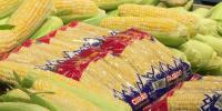 Food insecurity hits 12-year high as Food Bank of the Rockies, City Market team up