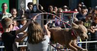 This weekend around Anchorage: The 2026 state fair’s swan song plus plenty of First Friday events