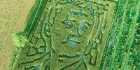 Farm features Charlie Kirk in corn maze. Here’s how the business responded to criticism