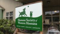 Humane Society of Western Montana hosts monthly free vaccine clinic for pets
