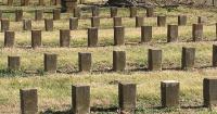 Why grave robbing Confederate Civil War dead is big business