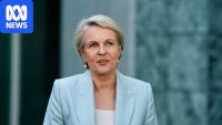 Man charged over alleged social media threat against federal minister