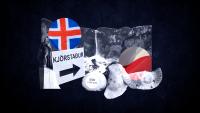 The Poles who helped Iceland turn the EU down