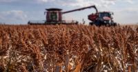 The Gauge: The $100 billion problem facing Australian agriculture