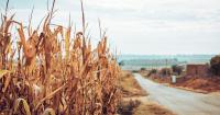 Farmers urged to adopt climate-smart methods for extreme El Niño