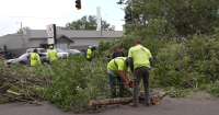 Strong wind topple trees, spark fires in Great Falls and surrounding area