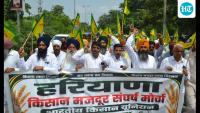 Farmers demand paddy purchase from Sept 15, higher milk prices in Haryana