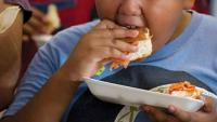School meals could generate $25m for farmers