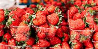 Britons set to see gene-edited fruit on supermarket shelves for first time