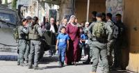 Israeli forces demolish water wells, greenhouses in Hebron amid tensions