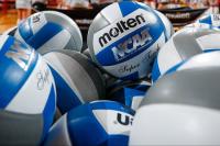 Wisconsin Volleyball defeats No. 17 Florida