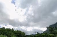 Honolulu Gets Whipped: Hurricane Lowell Kicks Up Gusty Trades, Choppy Surf