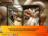 Livestock Farmer Urges Government to Provide Emergency El Niño Relief