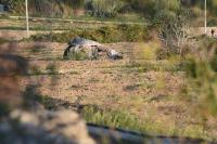 A car bomb does not build or order itself, PEN Malta says