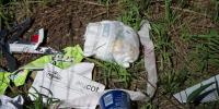 Volunteers find several pounds of diapers, waste at Arizona swimming holes