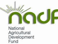 NADF seeks new financing model to transform Africa’s agriculture