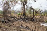 An environmental management agenda for the VP