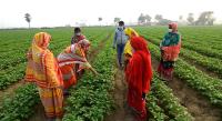 Ministry pushes Cooperation for Bengal Farmers