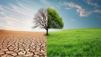 As Global Temperatures Rise, Jordan Faces Climate Costs Beyond Water Scarcity