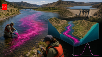 In 2010, US scientists tracked dye 41.2 miles in Montana’s Missouri River; a reservoir held it 8.2 hours