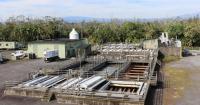 DOH reports dengue virus detected in Hilo wastewater sample