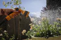 Brussels remains on drought alert